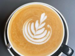 拿铁CoffeeLatte-NokNok Coffee(宽窄巷子店)
