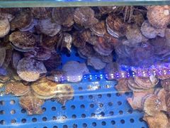 -前王院•巧克力海鲜市集餐厅(万平口店)