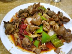 麻辣鱼肚-温州一家人美食(西木头市店)