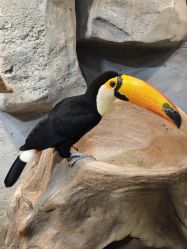 -Zoolung Zoolung动物主题公园(海信广场店)