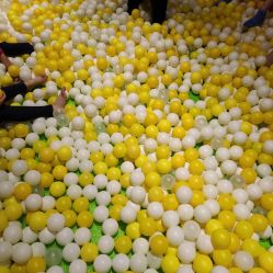 点击看大图 -宝燕乐园(闵行旗舰店)