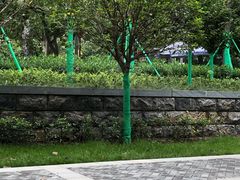 -莲湖公园