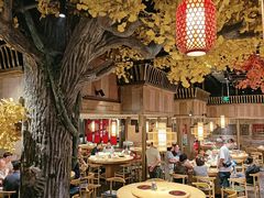 -老凯俚酸汤鱼(多彩城店)