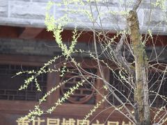 -重庆园博园