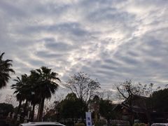 -三江森林温泉度假区