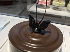 -BLACKSWAN黑天鹅(环球店)