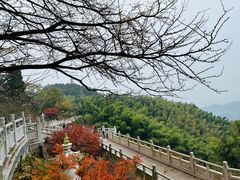 景点-径山寺