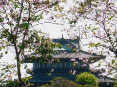 -海珠湖公园