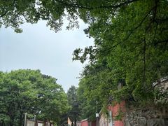-妙峰山风景名胜区