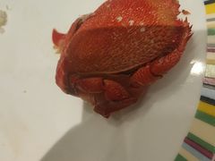 -冀粤香海鲜自助餐厅(西美五洲店)
