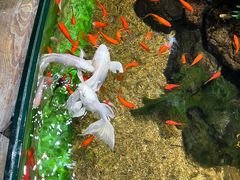 -太平洋海底世界