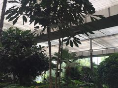 -汤山翠谷生态餐厅