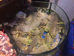 富贵虾-陶陶居海鲜酒家(新马路店)