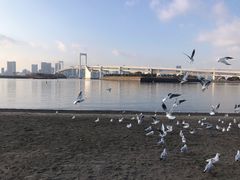 -台场海滨公园船码头