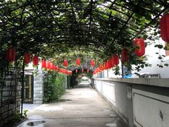 -大海别墅民宿农家院(十渡店)