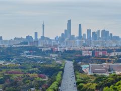 -火炉山森林公园