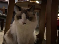 -咖法森林·咖啡  酒吧(天河店)