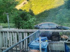 -白河湾山水缘民宿