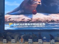 -泉城欧乐堡海洋极地世界