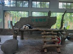 -宁波野生动物园