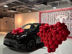 -TESLA 特斯拉(广州天环广场体验店)