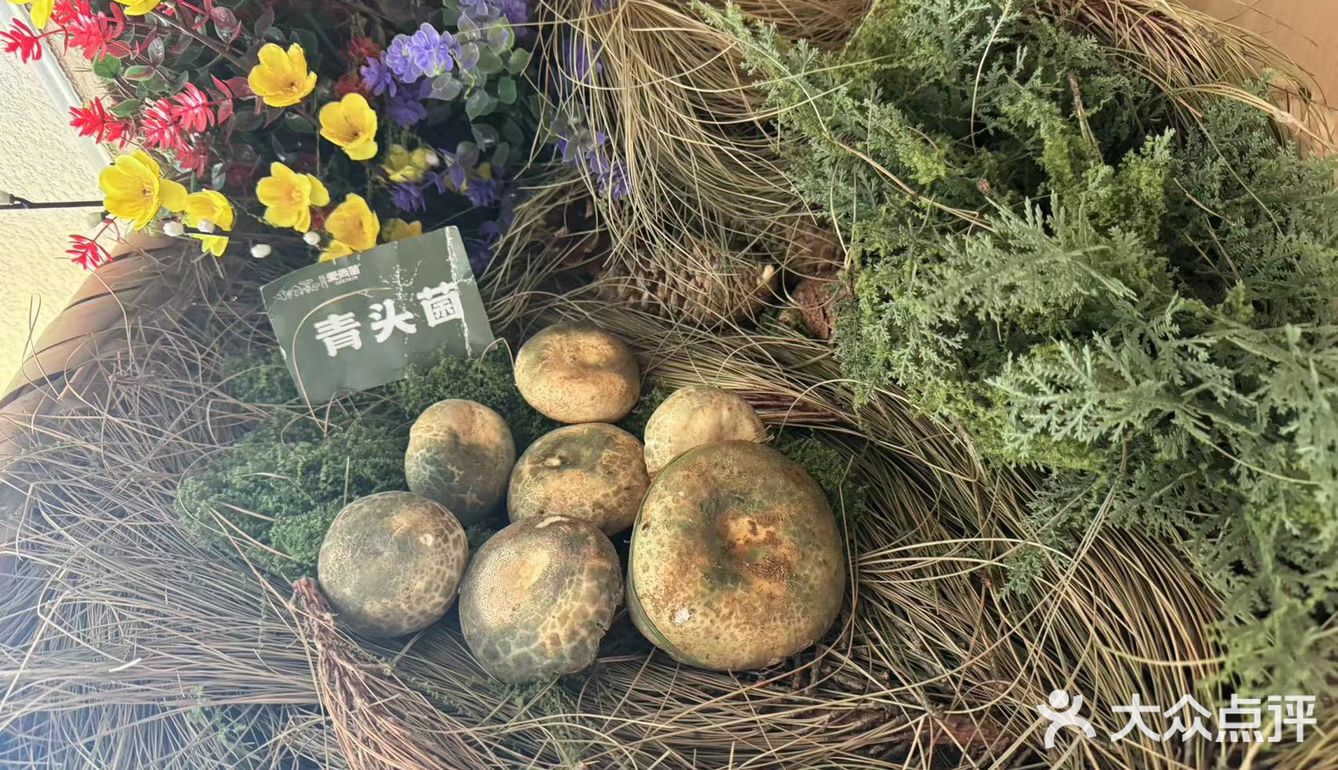 家的味道：牛杂菌菇汤