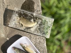 -蓝天路(地铁站)