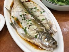 清蒸鲜白鱼-西新饭店(城中店)