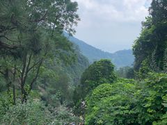 -泰山风景名胜区