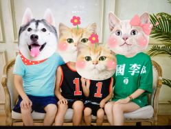 点击看大图 -童画王国儿童摄影(吉大店)