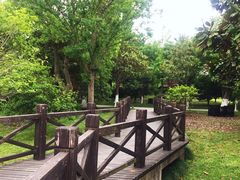 -上海鲜花港