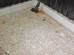 -庖丁堂酒店(金穗大道店)