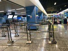 -大龙山(地铁站)