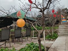 -桃源山庄·水蜜桃采摘·柴火鸡·烧烤团建(龙泉山店)
