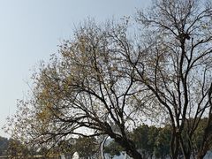 -南北湖风景区