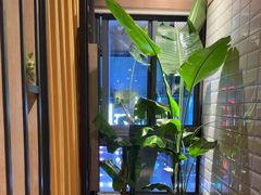 -赛维利亚中西餐厅(仁怀店)