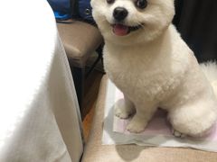 -双井轩(双井店)