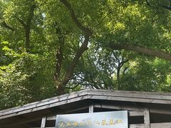 -马王堆汉墓遗址