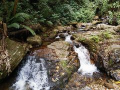 -莫里热带雨林景区