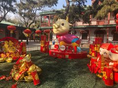 景点-北京动物园
