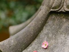 -慧因高丽寺
