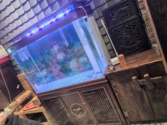 -破瓦寒窑·地摊烤羊排