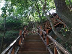 -大岭沟猕猴桃谷风景区