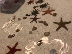 -福州罗源湾海洋世界旅游区