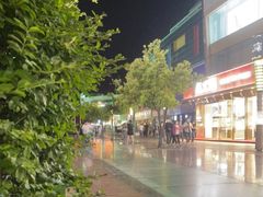 -卡滋贝诺动物奶油生日蛋糕(亚太潮尚店)