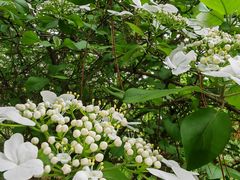 -昆山城市生态森林公园