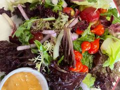 -Tubestation站点比萨(五道营店)