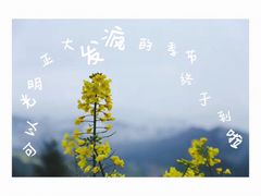 -石潭村