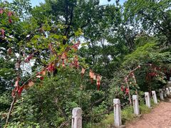 -吉林拉法山