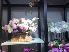 -溪岸路花鸟市场
